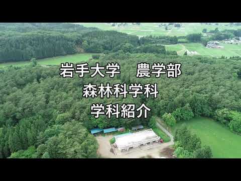 農学部　森林科学科　紹介動画