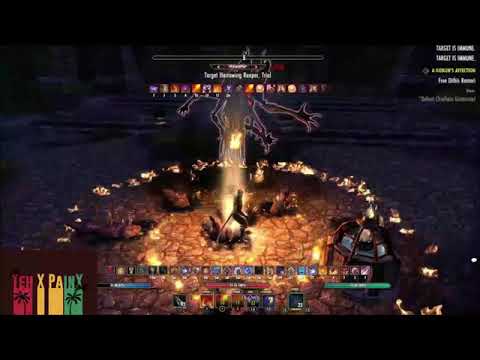 ESO Blackwood: Magicka Dragonknight 100.8k