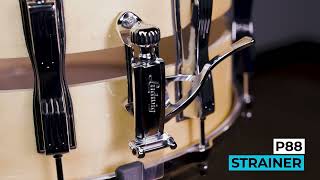 Video thumbnail for Ludwig Slotted Coliseum Maple 8x14 Snare – Classic Power, Modern Precision by Ludwig Drums