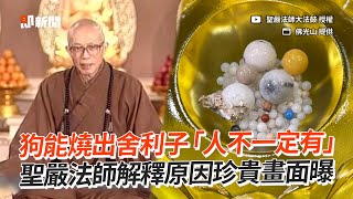 Re: [新聞] 狗能燒出舍利子「關鍵原因」曝！聖嚴法師