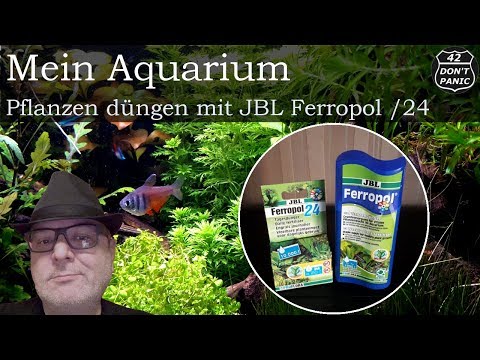 Pflanzen düngen mit JBL - 2von5 | Mein Aquarium 62