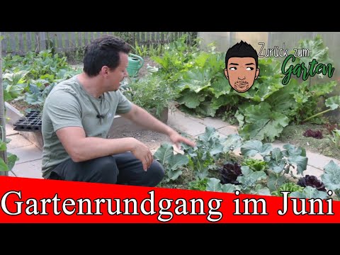 Gartenrundgang Juni Gemüsegarten, Obstgarten, Staudengarten