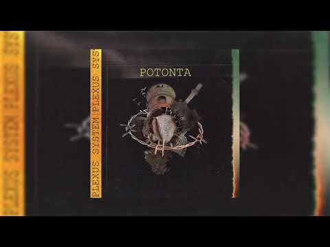 PLEXUS SYSTEM - ΡΟΤΟΝΤΑ (prod. by Electabaz)