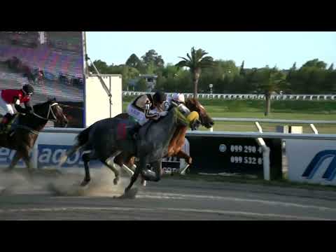 14/10/2022 – Hipodromo Las Piedras – Carr 11 – OLYMPIC HARVARD (2019-2021)