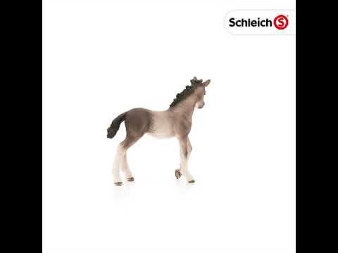 Schleich figūrėlė Andalūzijos kumeliukas video