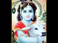 Kashmiri Bhajan Narayan Krishan Bhagwana Sunil Tickoo Bharat Bhat Triloki Nath Koul Sevak