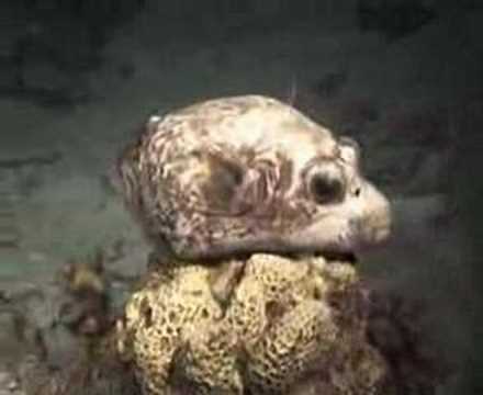 Südtour von Marsa Alam