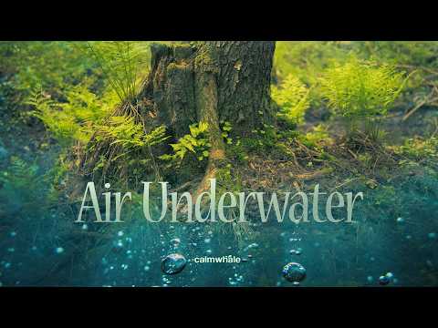 Air Underwater - Whispered Secrets of Nature - Wind chimes & Rainstick - Peacock Spirit Animal