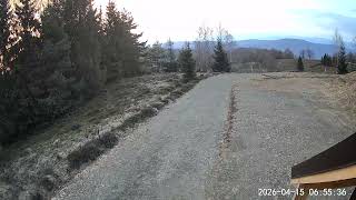 2026-04-15 caprioara