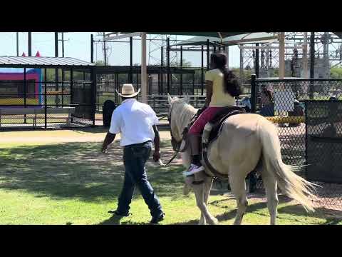 Manasvini horse riding experience