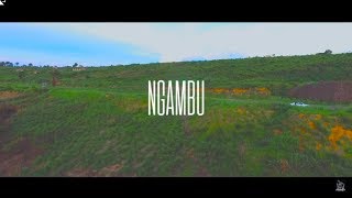 Robinio Mundibu - Ngambu (Official Video)