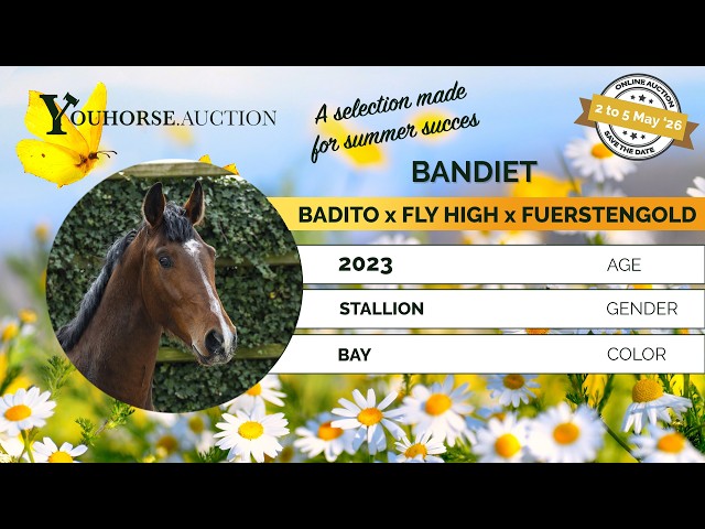 Bandiet