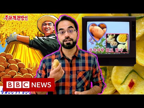 北韓的洋芋宣傳為什麼又回來了?- BBC新聞 (Why is North Korean potato propaganda back? - BBC News)