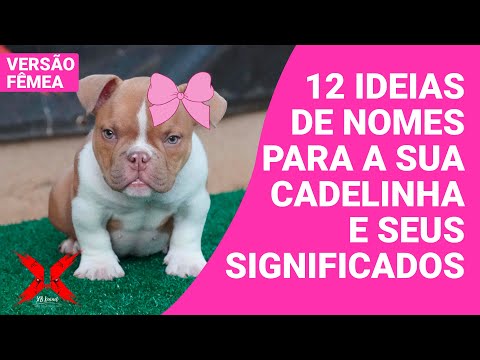 Female Dog Names and Their Meanings | Xb Kennel