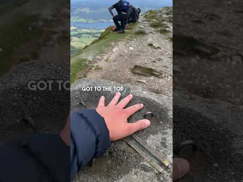 What wildlife lives on British mountains…