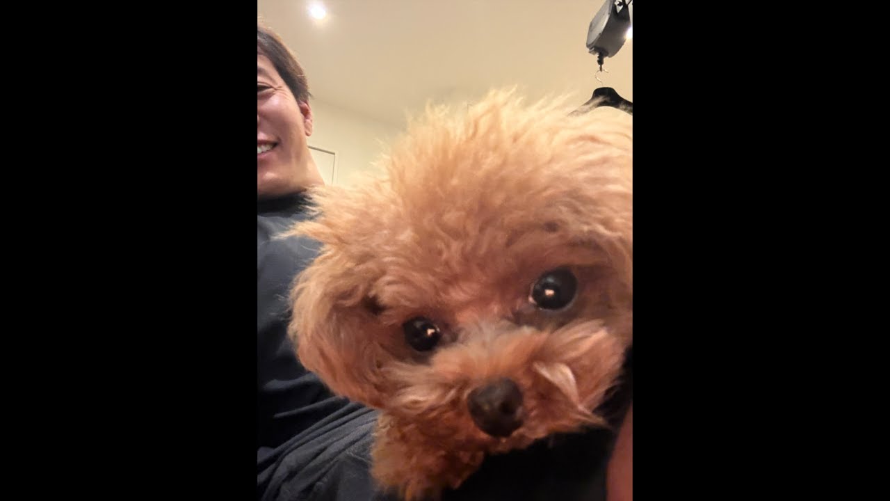 「ショートスリーパーの夜筋トレ配信」【第726回ショートスリーパーラジオ】(2026 4/2 18:55〜)