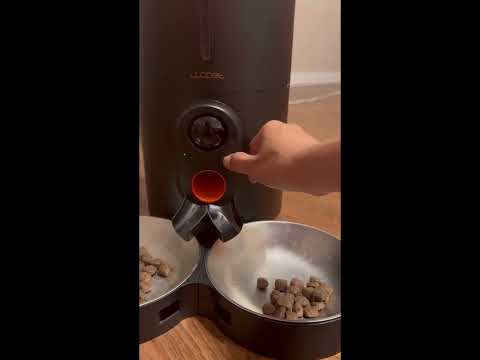 CBD for Cats Video Preview