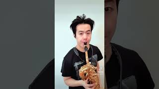 Download lagu guess the ghibli song/movie pt. 3 #ghibli #music #saxophone #saxophonequartet mp3