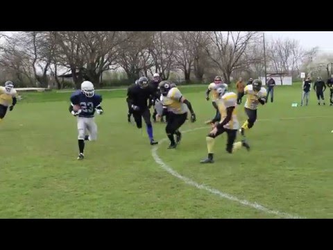 Szeged Templars vs. Vác Pandas Arena Highlights