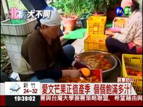 我很醜但很好吃! NG芒果6折賣