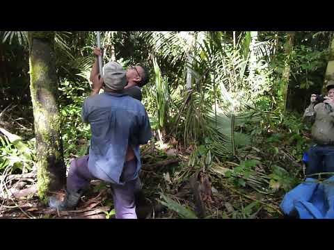 https://www.youtube.com/watch?v=Ck8dzDVHHg8&t=5s