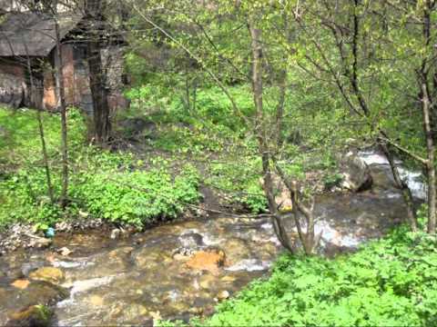 Biljan Stojanoski - Pošlo belo Mare na voda studena