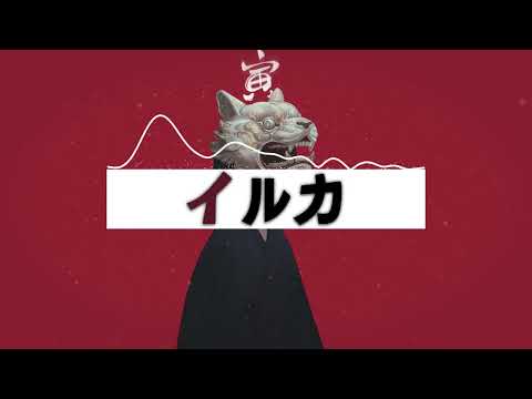 Iruka | IruGuitar - KETSUEKI (Japanese PHONK)