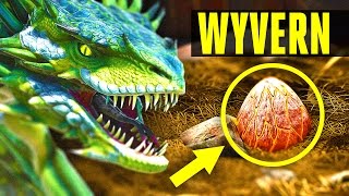 Wyvern - How to tame/Where to find eggs - EVERYTHING YOU NEED TO KNOW! (ARK: Scorched Earth)