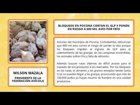 Bloqueos en Pocona cortan el GLP y ponen en riesgo a 600 mil aves por frío