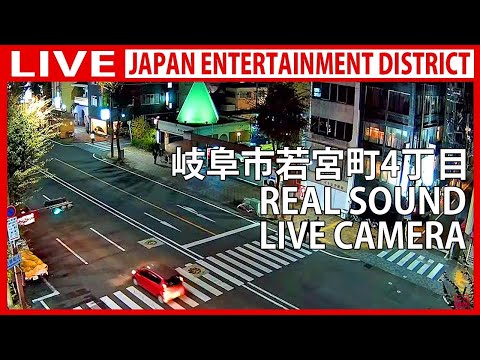Yanagase Shopping Street In Gifu live camera