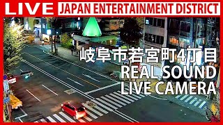 柳ケ瀬・若宮町通り