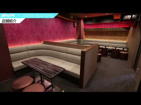 LOUNGE Egoist Dahlia・エゴイストダリア - 亀戸/キャバクラ【ポケパラ】