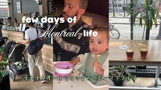 a few days of my life☕️｜busy mommy life, coffee shops in Montreal, walking my lab mix dog, outfits