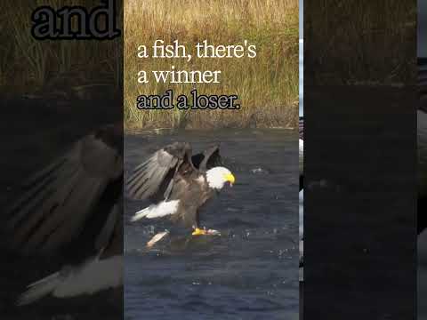 The Hidden Cost of People Pleasing