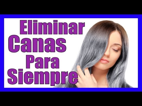 download lagu mp3 mp4 Quitar Las Canas Para Siempre, download mp3 Quitar Las Canas Para Siempre free download, download mp3 Quitar Las Canas Para Siempre