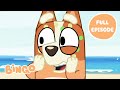 Bingo At The Beach ️ The Beach Bluey Full Episode Bingo Official Channel