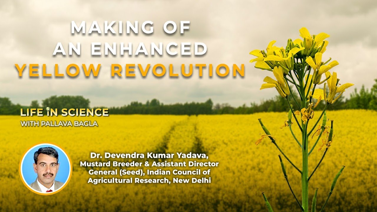 Who started the Yellow Revolution in India? Tipseri