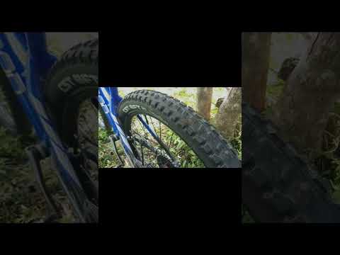 CST BFT Enduro Tire | Weapon bike Animal PH #bike #downhill #mountainbike #ridemtb #CST #tires #mtb
