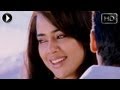 Surya Son Of Krishnan Movie Sameera Expressing Love Scene