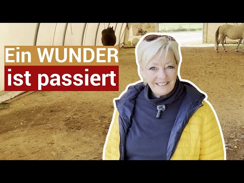 Als ich losgelassen habe, passierte das Unmögliche ✨