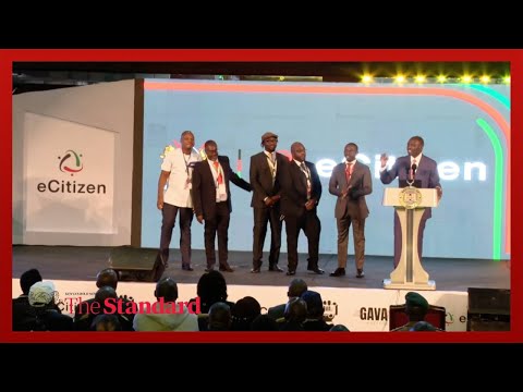 E-Citizen is once again linked to claims of public funds theft through its service system