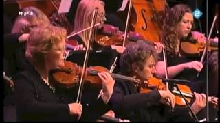 Metropole Orkest -  'Peace'