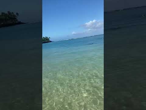 👀🌊 #waikiki 🌈beautiful water colors. #hawaii 🌸Hawaii vibes in Hawaii 🌸follow