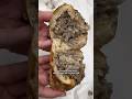 TOP RATED PHILLY CHEESESTEAK AT Angelo S Pizzeria South Philly Philadelphia