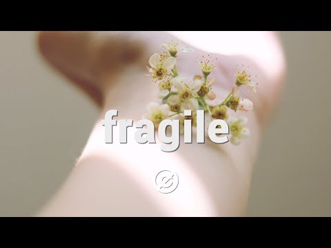 'Fragile' by A Himitsu 🇸🇪 | Fragile Music (No Copyright) 🌼