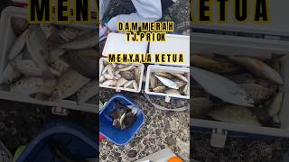 Download lagu Mancing dam merah tanjung priok terbaru || DAM MERAH ON FIRE mp3