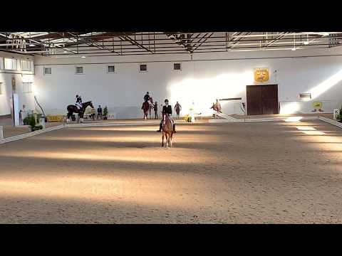 Agnieszka Przybylska || Django AA || P2 || Aromer 27.10.2019