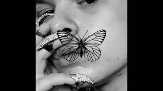 Butterfly Music Video