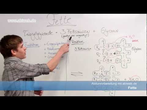 Fats - Structure and Examples - A-Level Chemistry
