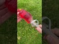 One Pound Fish Shorts
